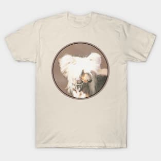 Chinese Crested (Hairless) T-Shirt